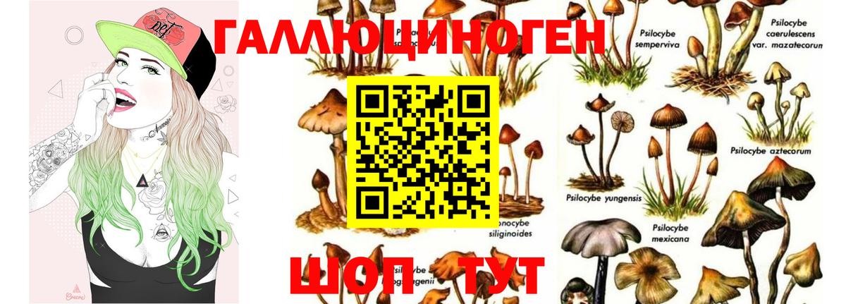 Галлюциногенные грибы Psilocybine cubensis  Галлюциногенные грибы GOLDEN TEACHER  Вход с VPN  Коммунар 